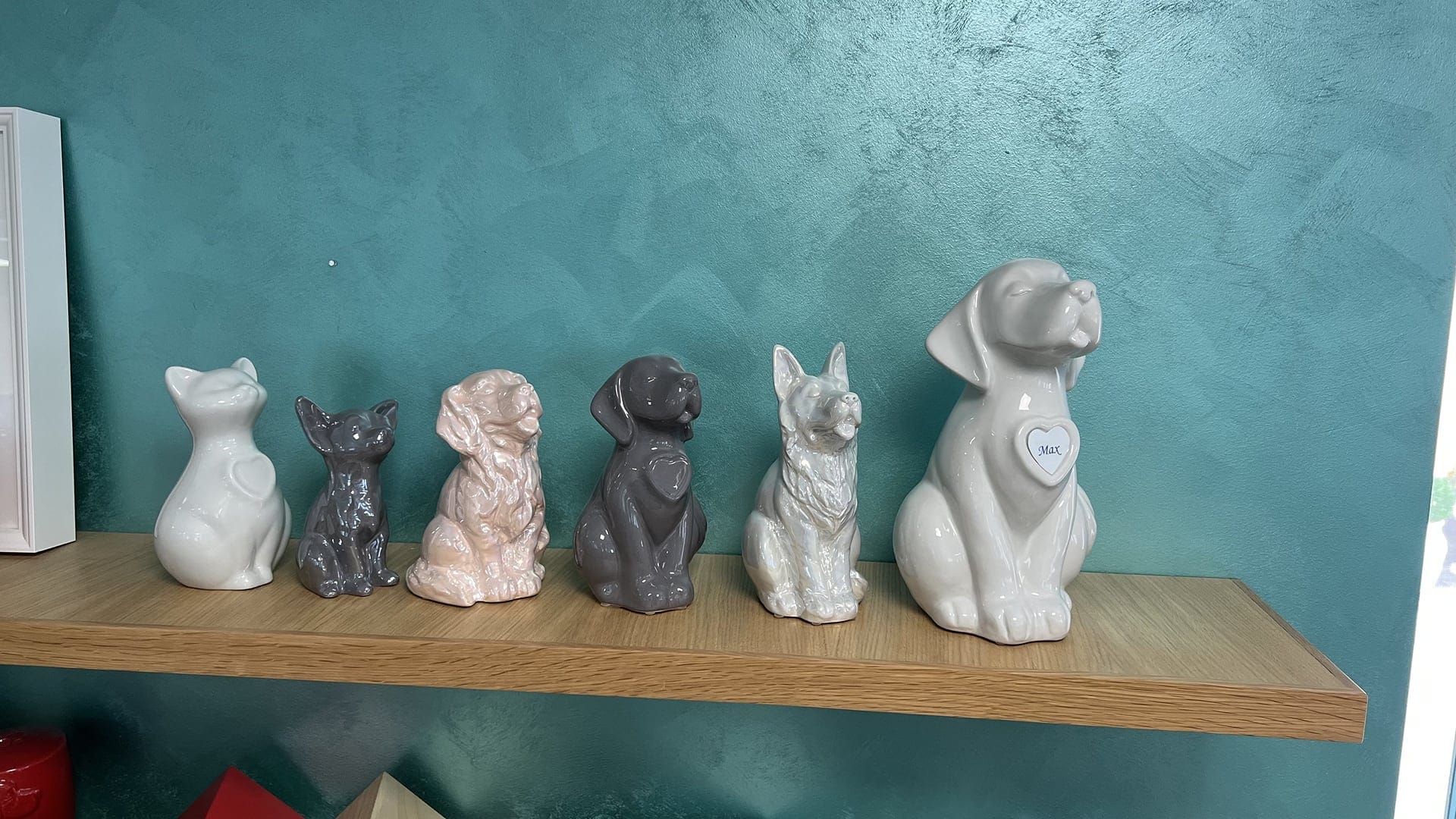 Slide con animali domestici