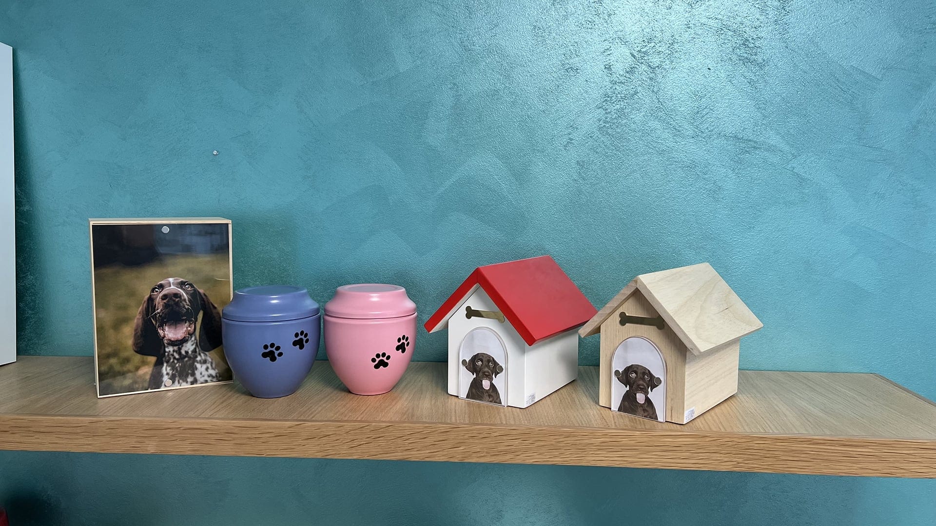 Slide con animali domesticie